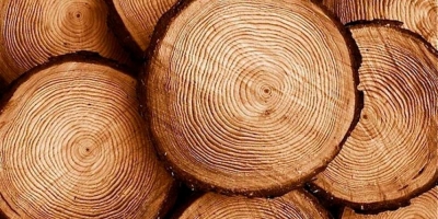 Capacitación en Madera